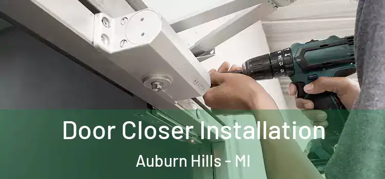 Door Closer Installation Auburn Hills - MI