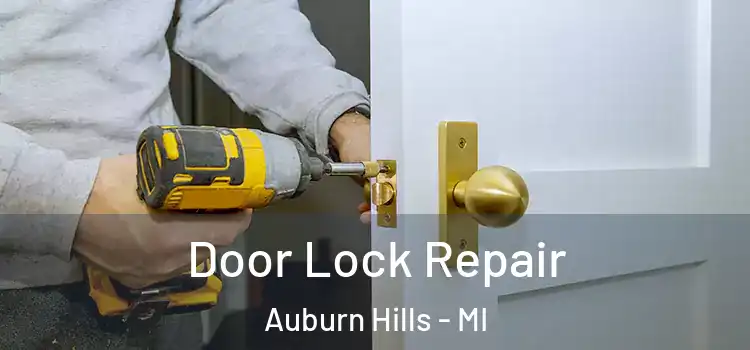 Door Lock Repair Auburn Hills - MI