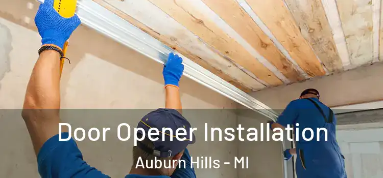 Door Opener Installation Auburn Hills - MI