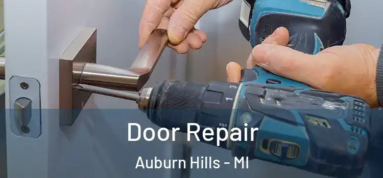 Door Repair Auburn Hills - MI
