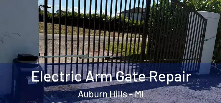 Electric Arm Gate Repair Auburn Hills - MI