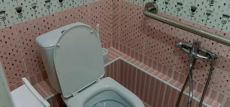 Meeting Diverse Needs With Accessible Restroom Solutions in Auburn Hills, MI