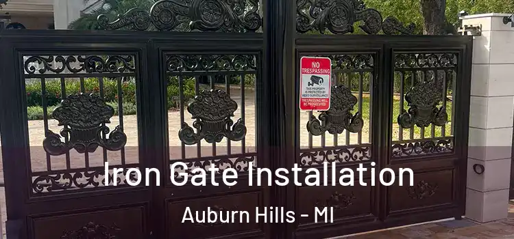 Iron Gate Installation Auburn Hills - MI