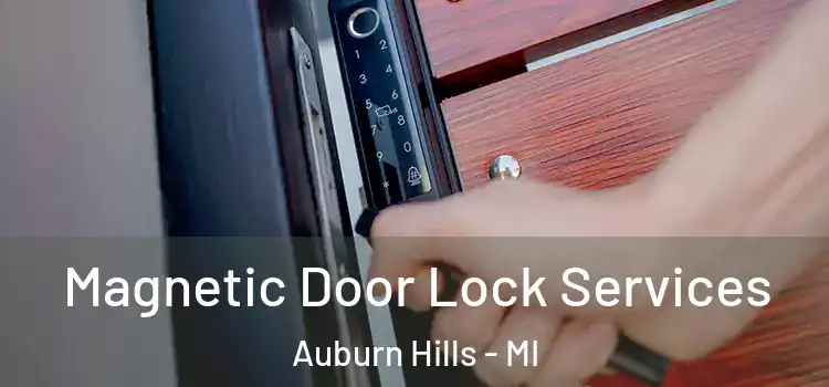 Magnetic Door Lock Services Auburn Hills - MI