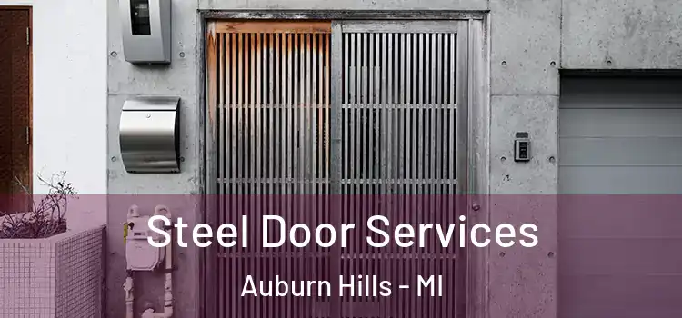 Steel Door Services Auburn Hills - MI